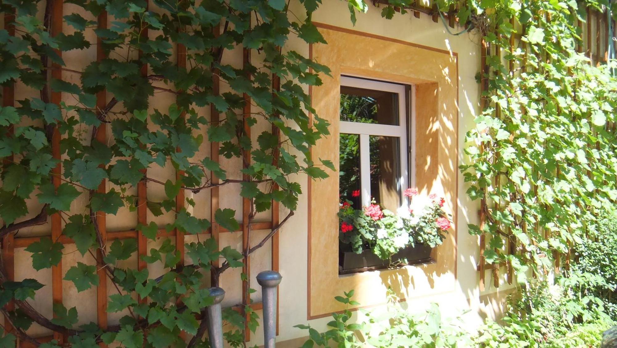 Hotel Schlossberg Meißen Eksteriør bilde